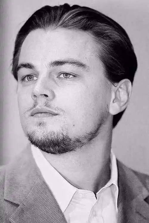 下面是小李子不太瘦的时候类似的还有其他男神可以看出来此刻的线条