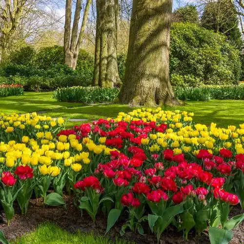 春景,春天,自然,背景,漂亮,风景,花园