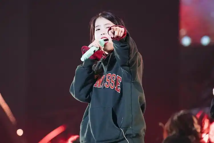 iu李知恩明星同款演唱会绿色宽松字母刺绣套头连帽加绒卫衣外套女