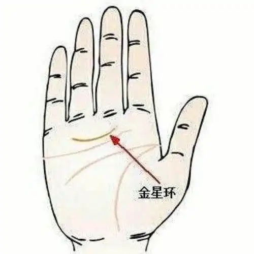 手相,有金星环的人异性缘旺