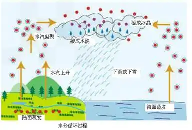 水循环的图片手抄报手抄报版面设计图