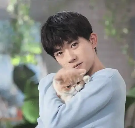 240216 温情满溢!易烊千玺与小猫的暖心瞬间融化粉丝心