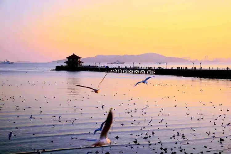 美丽的青岛栈桥