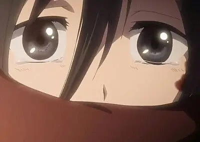 三笠同学 - 堆糖,美图壁纸兴趣社区