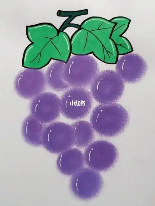 葡萄这样画秒会