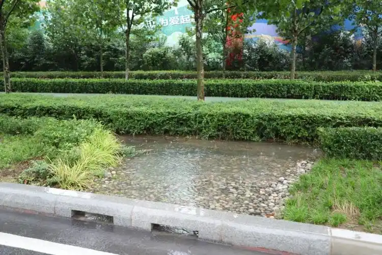 小区雨水花园唯有道路两旁绿化带公园幽径都已不见雨水踪迹沣西新城