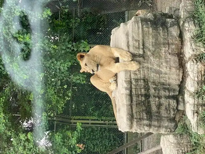 上海动物园一日游