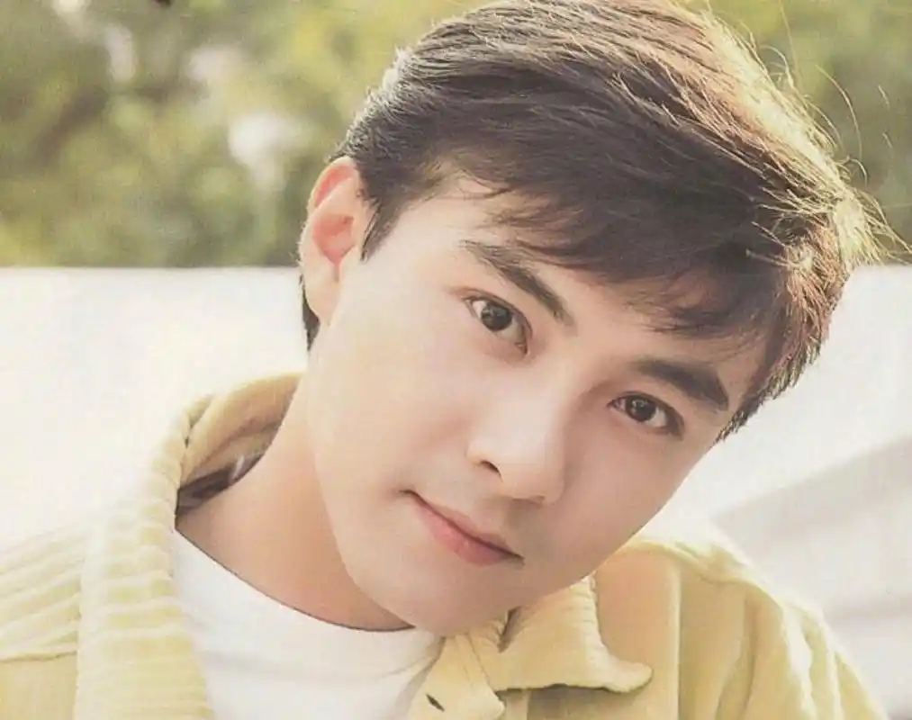 张卫健凭借这1996年西游记孙悟空一角爆红,不得不说他年轻的颜值真的