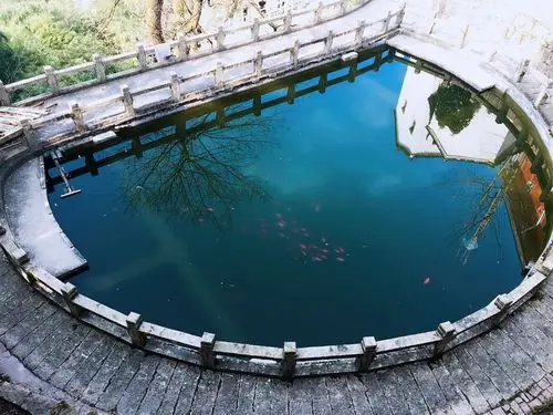 下缆车后步行大概5分钟,就会看到一个半月形的水池,它也是放生池.