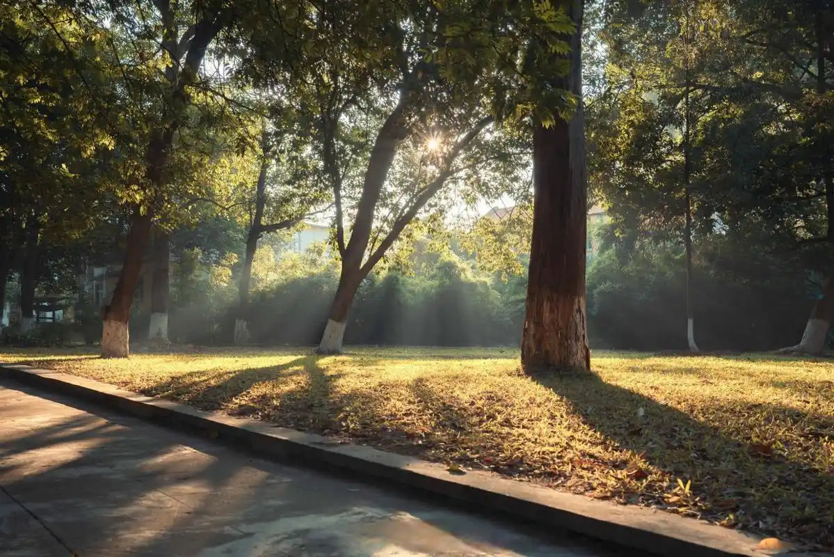 农情光影# 98那些不起眼的校园角落,藏着温柔却