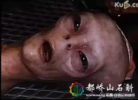 人类已发现57种外星人