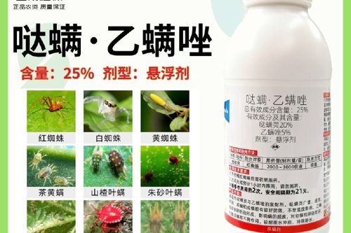 5/瓶 帝诛25%哒螨乙螨唑哒螨灵柑橘红蜘蛛专用药叶螨杀卵杀螨剂农药