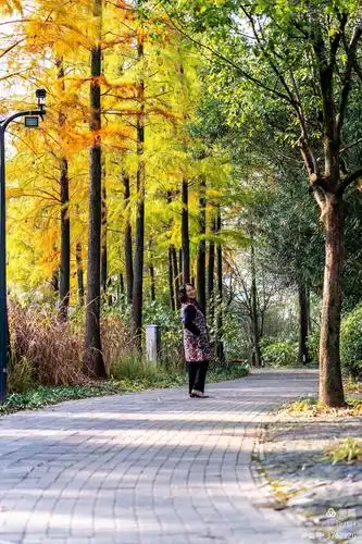 心若纤尘 时光清宁