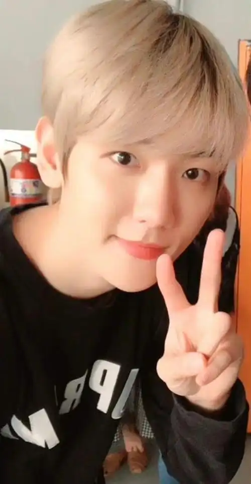 边伯贤图楼百宝箱自拍指南78有更新