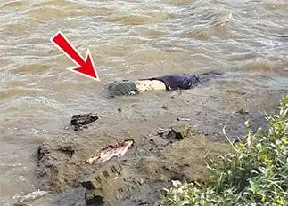 顶尖名校女大学生跳河自杀身亡