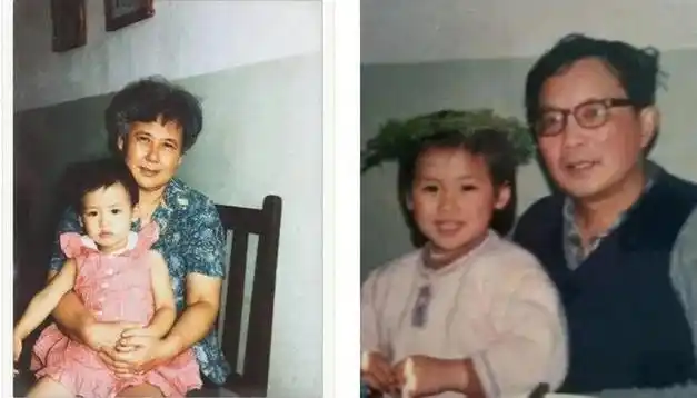 马思纯一个傻姑娘