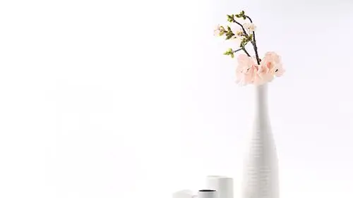 文艺清新的花瓶静物写真高清宽屏壁纸