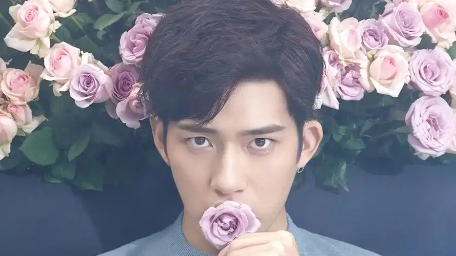 井柏然明星风尚壁纸1