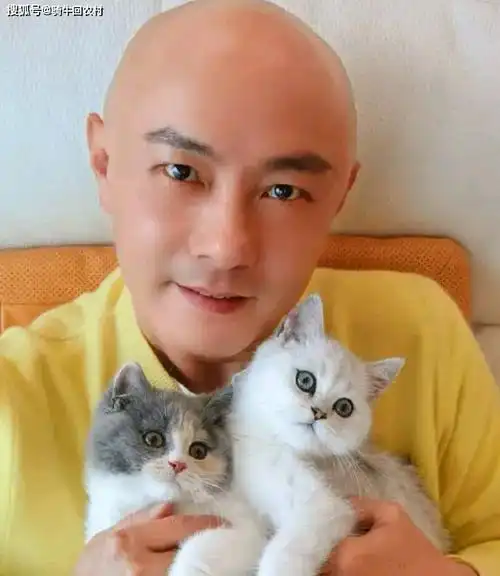 张卫健在评论区与网友打成一片,可其背后的故事让人心酸_光头_香港