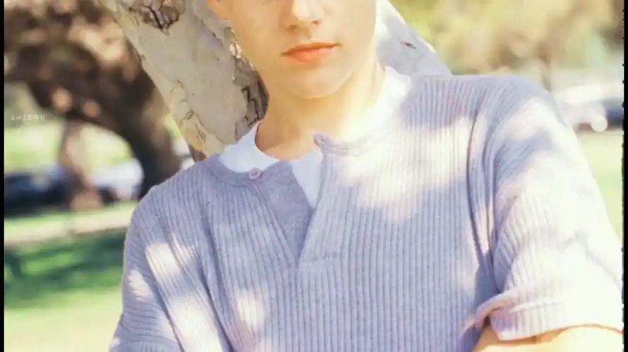 【莱昂纳多】小李子高清壁纸推荐_哔哩哔哩_bilibili