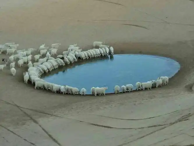 沙漠中的一汪泉眼