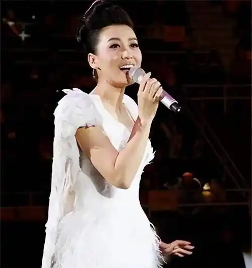 44岁谭晶罕露面12次登春晚身价上亿大9岁老公身份不简单