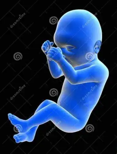 胎儿六个月频繁活动