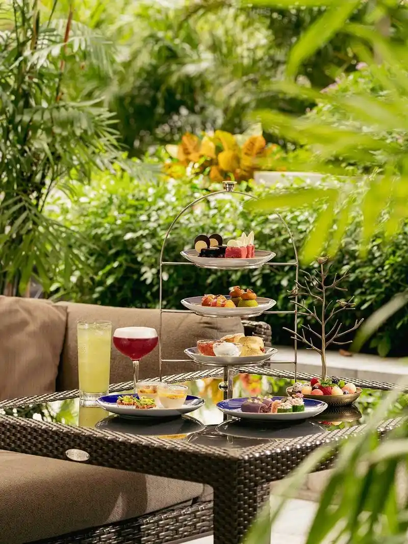 94秋日午后,90陪你度过惬意午后时光 半日得闲观93秋态,围炉煮