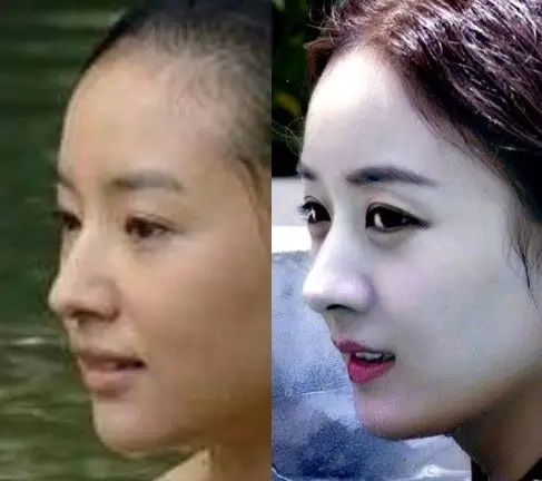 都说董洁的鼻子好看,做了几张董洁赵丽颖鼻子的对比图,可以说是不相