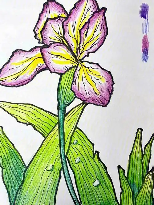 少儿美术教师范画分享