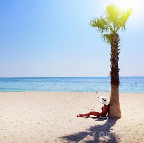 一个戴着白草帽的女人坐在海边的棕榈树下看着大海