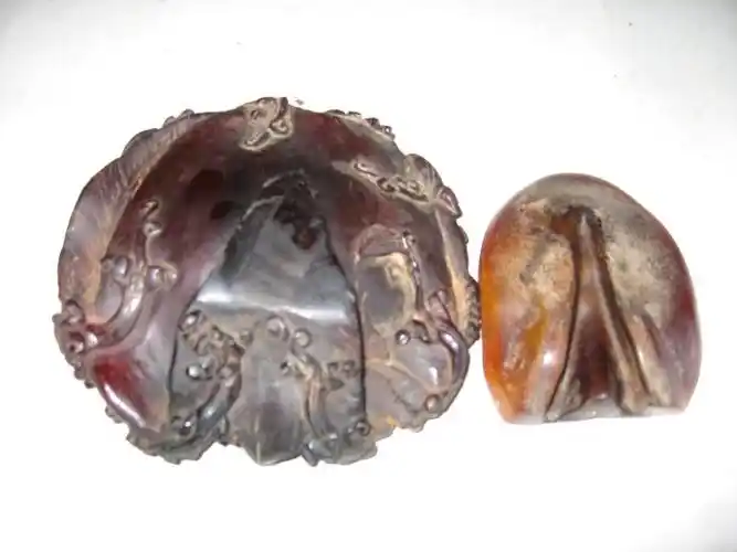 左边的是马蹄子右边的是犀牛蹄子犀牛的蹄子料仿犀牛角的蹄子料仿犀牛