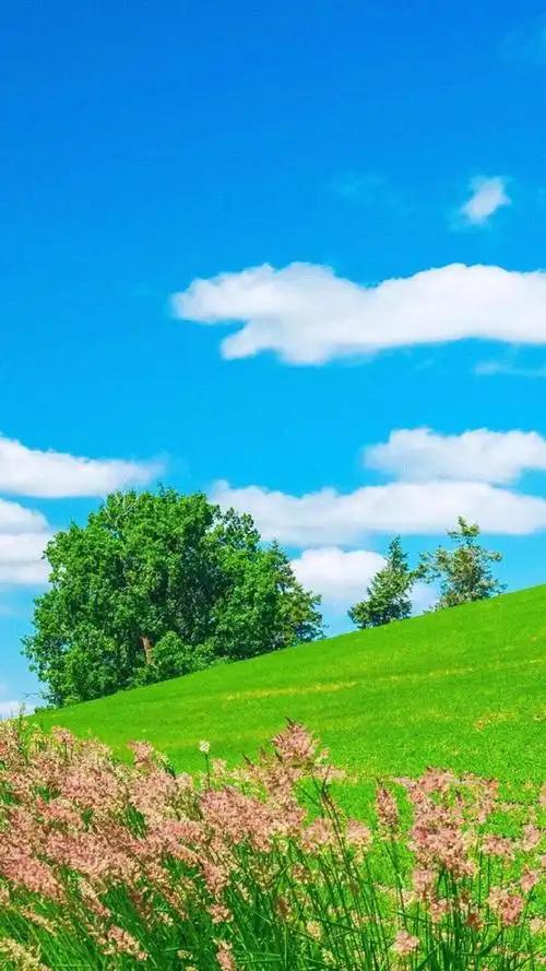 简单的小清新风景,高清图片,手机锁屏桌面-壁纸族