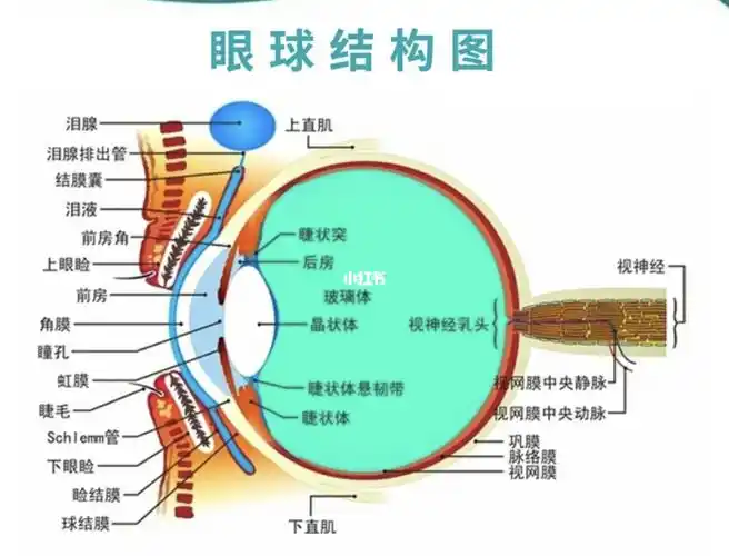 面对美睫客户眼角出现问题二