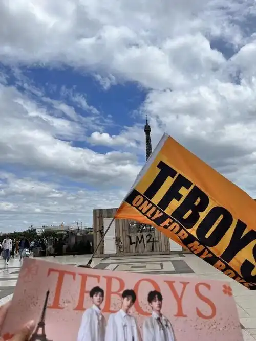 披着 扛着大旗在巴黎街头 很酷的哎@tfboys-王俊凯@tfboys-王源