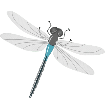 灰色矢量卡通手绘飞翔蜻蜓