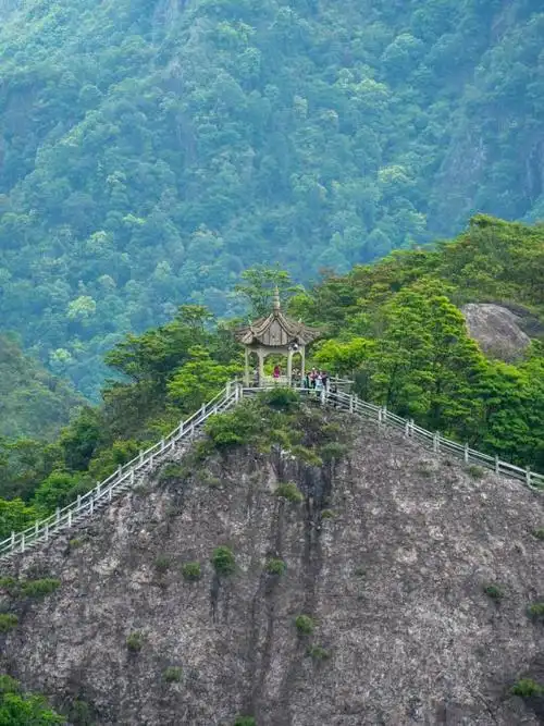 雁荡新绿春山可望##沉浸式徒步雁荡山##来雁荡山上春