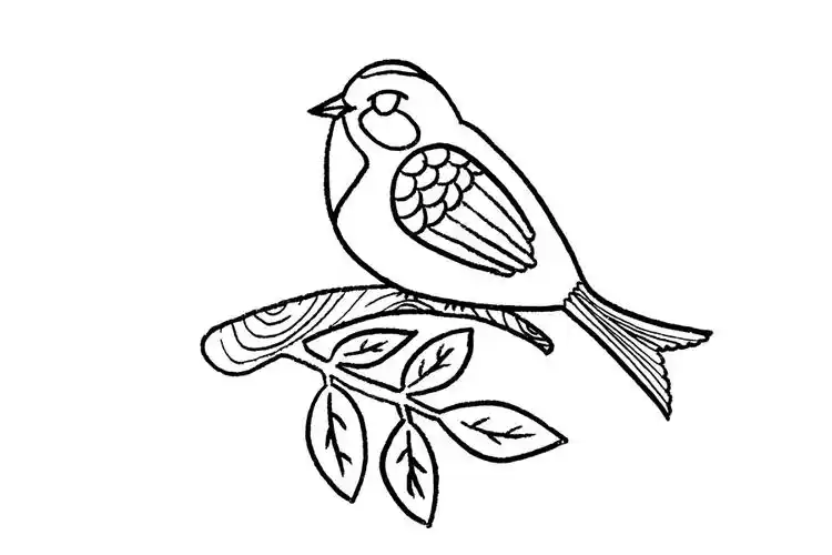画一只漂亮的小鸟--简笔画大全