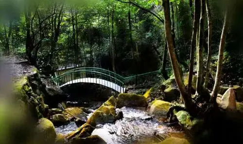 武陵岩奇峡景区