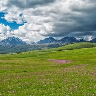 绿色草甸草原风景qq高清头像图片