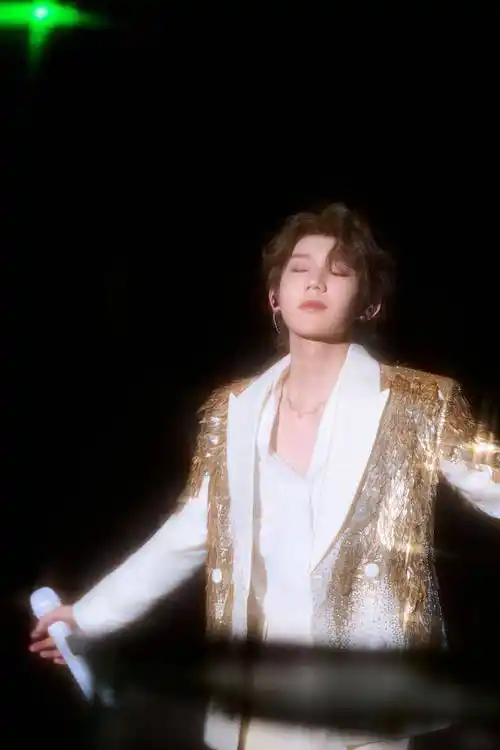 爆款标题重磅消息王源演唱会票价大揭秘震撼惊艳全场