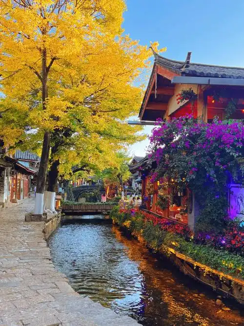 丽江古城四方街这儿有你对秋天的所有想象