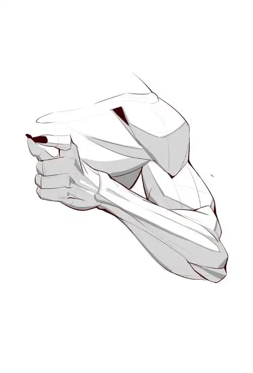 手臂肌肉结构怎么画?