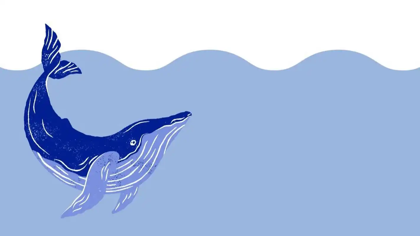 海洋ppt背景图 大海里的神神奇生物们,你们都认识吗?