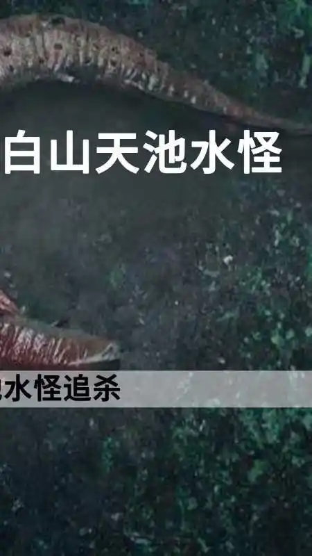 长白山天池水怪 科考队探险长白山天池,发现水怪巨蛋,不料招来杀身之