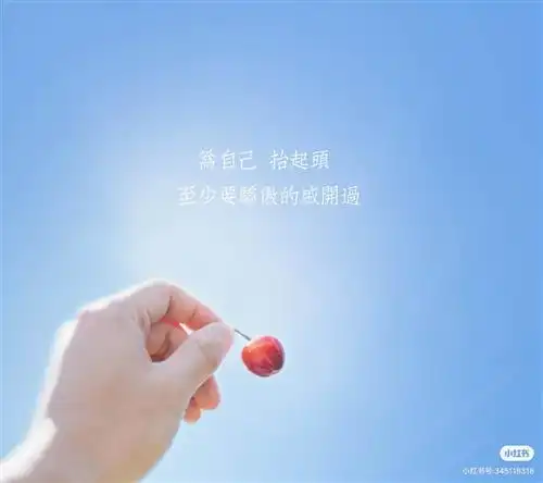 生活明朗万物可爱