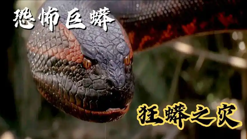 电影/狂蟒之灾/剪辑 变异巨蟒袭击人类恐怖场景