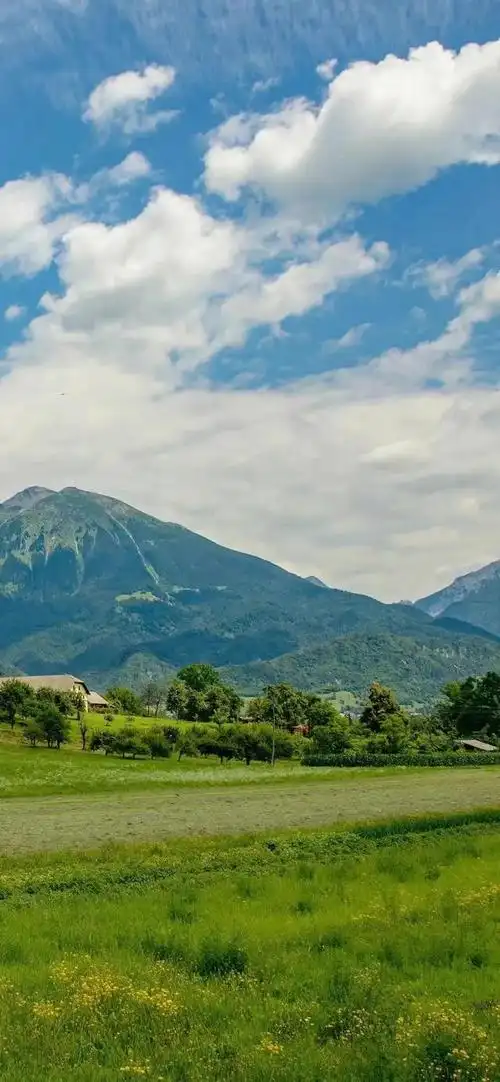 640_1385竖版 竖屏