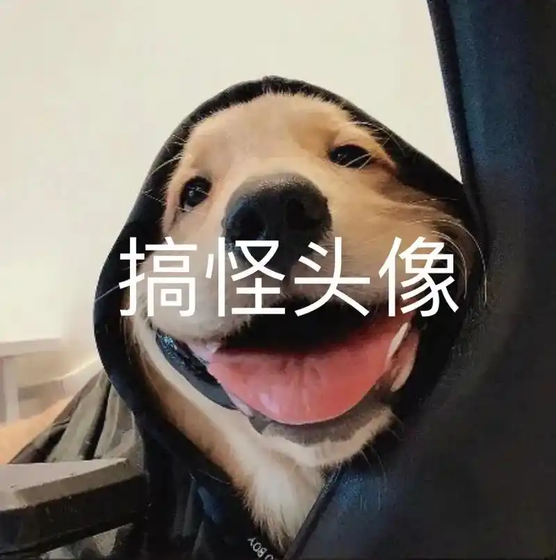 拿图看主页.#沙雕头像 #搞怪头像 #奇葩头像 #该换头像啦 - 抖音