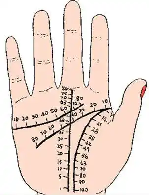 但是,不能严格的按照上面这张手相流年图上的准确年龄,因为从手相上